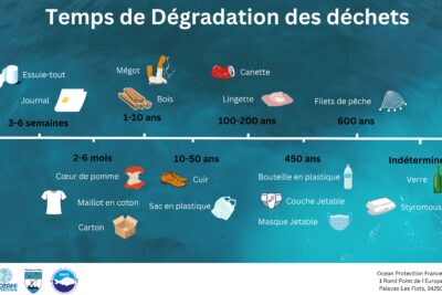 Agrandir l'image 2 sur 8, fenêtre modale