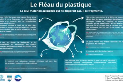 Agrandir l'image 3 sur 8, fenêtre modale