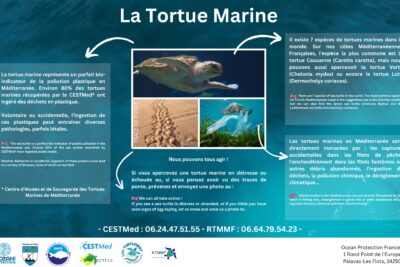 Agrandir l'image 7 sur 8, fenêtre modale