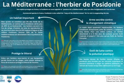 Agrandir l'image 8 sur 8, fenêtre modale