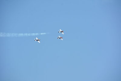 Agrandir l'image 25 sur 90, fenêtre modale