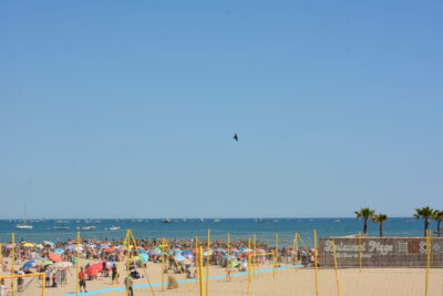 Agrandir l'image 46 sur 90, fenêtre modale