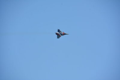 Agrandir l'image 47 sur 90, fenêtre modale