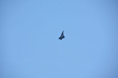 Agrandir l'image 48 sur 90, fenêtre modale