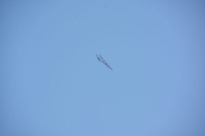 Agrandir l'image 53 sur 90, fenêtre modale