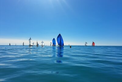 Agrandir l'image 2 sur 4, fenêtre modale