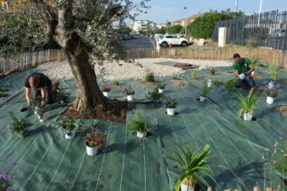 Agrandir l'image, fenêtre modale