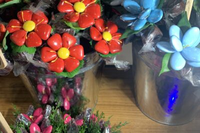 Agrandir l'image 4 sur 6, fenêtre modale