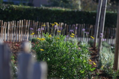 Agrandir l'image 2 sur 3, fenêtre modale