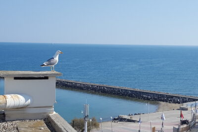 Agrandir l'image 1 sur 6, fenêtre modale