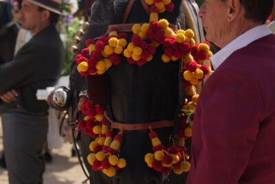 Agrandir l'image 12 sur 24, fenêtre modale