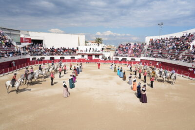 Agrandir l'image 20 sur 24, fenêtre modale