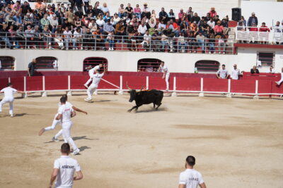 Agrandir l'image 22 sur 24, fenêtre modale