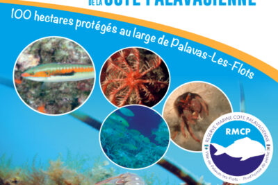 Agrandir l'image 1 sur 1, fenêtre modale