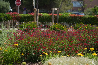 Agrandir l'image 2 sur 9, fenêtre modale