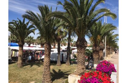 Affiche Marché non-alimentaire saisonnier - Agrandir l'image, fenêtre modale