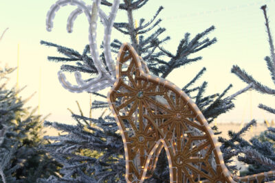 Agrandir l'image 1 sur 1, fenêtre modale