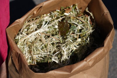 Agrandir l'image 4 sur 5, fenêtre modale