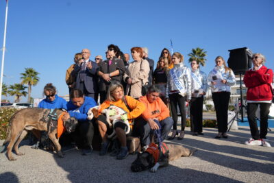 Agrandir l'image 13 sur 18, fenêtre modale