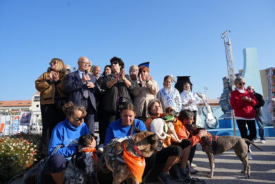 Agrandir l'image 12 sur 18, fenêtre modale