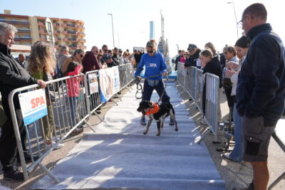 Agrandir l'image 9 sur 18, fenêtre modale