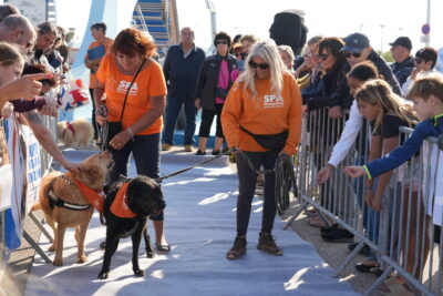 Agrandir l'image 4 sur 18, fenêtre modale