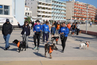 Agrandir l'image 3 sur 18, fenêtre modale