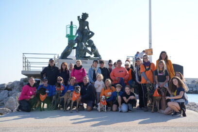 Agrandir l'image, fenêtre modale