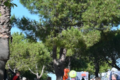 Agrandir l'image 6 sur 13, fenêtre modale