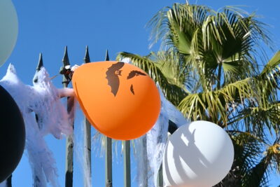 Agrandir l'image 4 sur 13, fenêtre modale